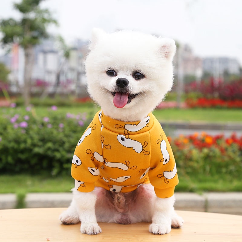 Áo Cho Chó Áo Cho Mèo Hình In Dễ Thương Áo Khoác ấm áp Cho Thú Cưng