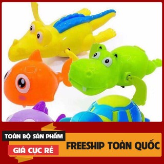 ĐỒ CHƠI CÁ RÙA THẢ BỒN TẮM