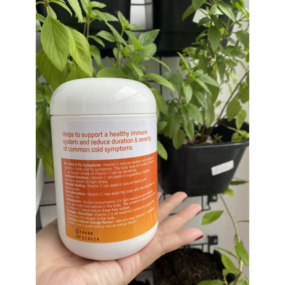 Viên nhai Vitamin C Sugarless 500mg không đường Nature's Way 300 viên
