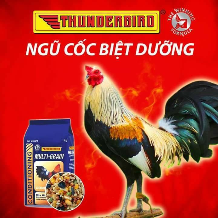 Ngũ cốc Multi Grain dành cho gà đá (1kg) - PetFoodStore.