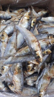 Cá Trích [1kg] KHÔ CÁ