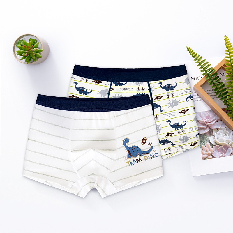 Bộ 2 Quần Lót Boxer Cotton Cho Bé Trai