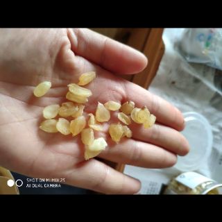 Hạt bồ mễ / Tuyết liên tử 100gr