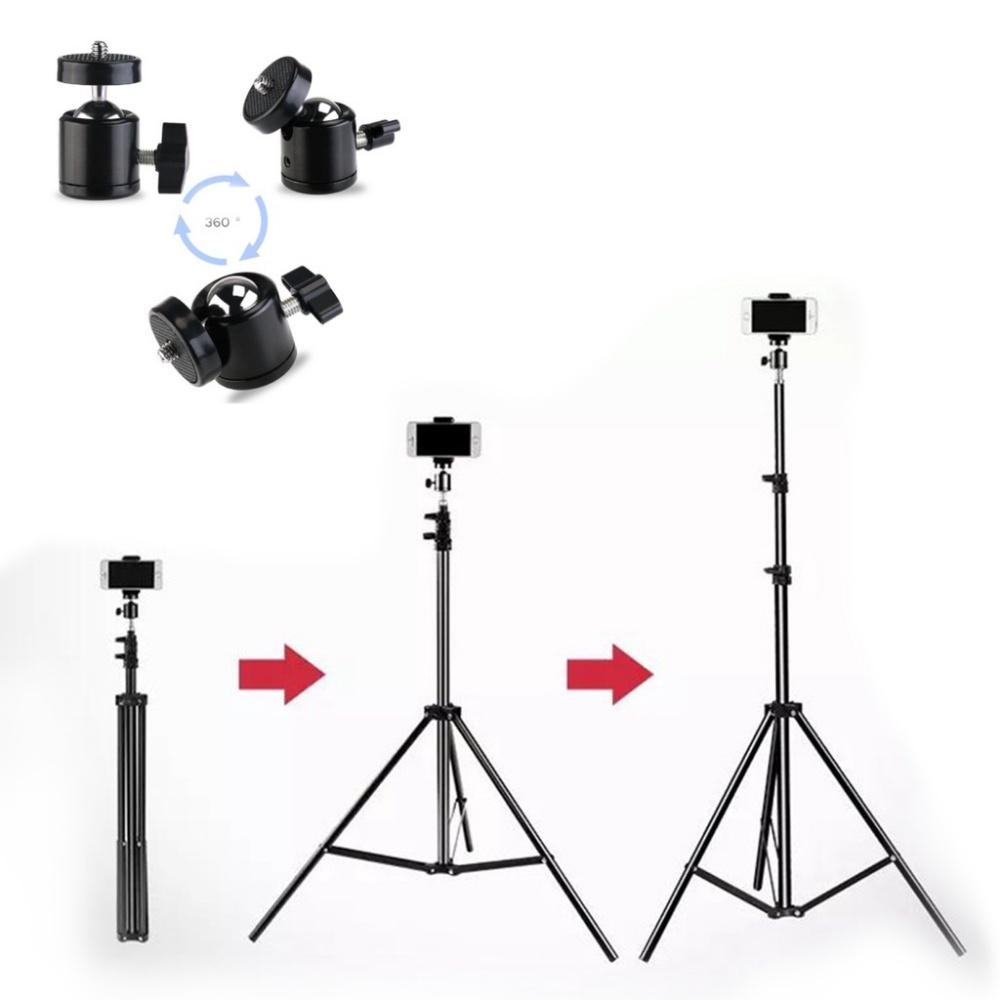 Tripod BEECUBE, chân đỡ điện thoại máy ảnh máy chiếu - Tặng kèm bi chỉnh hướng và kẹp điện thoại