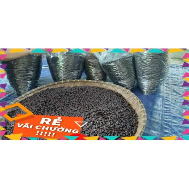 [Freeship] [Freeship] Hạt Dổi, Mắc Khén (5-20 Hạt, 50-100gr Giá Dùng Thử)