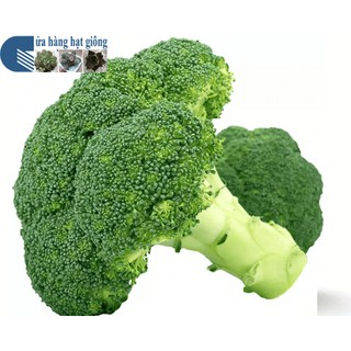 HẠT GIỐNG SÚP LƠ XANH 0.1GR