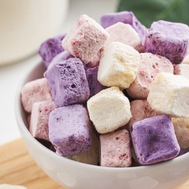 Sữa chua sấy khô vị trái cây