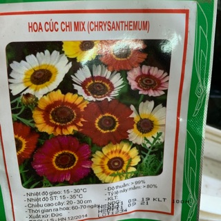 Hạt giống hoa cúc chi mix