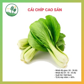 Hạt Giống Rau Cải Chíp (Cải Thìa) - 20gr