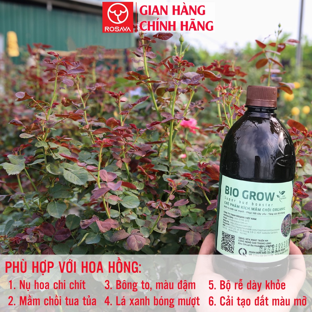 Phân bón lá hữu cơ siêu kích mầm chồi GROW cho hoa hồng, lan, giấy, sen đá, cây mai và cây cảnh ROSAVA