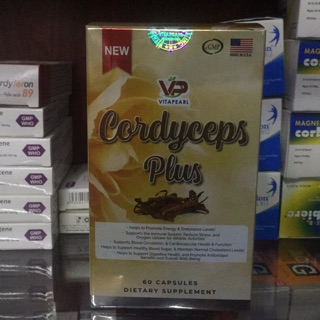 Thực phẩm bảo vệ sức khoẻ ĐÔNG TRÙNG HẠ THẢO CORDYCEPS PLUS HỘP 60 viên
