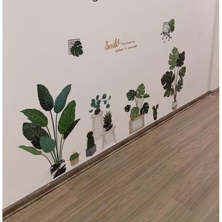 decal dán tường chậu cây xanh