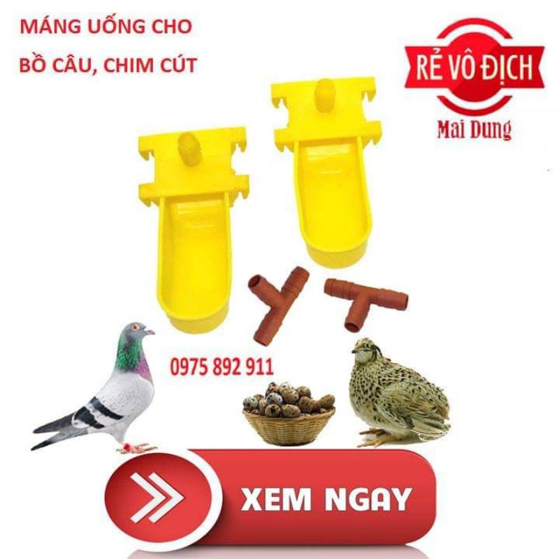 Máng uống tự động cho chim cút , bồ câu