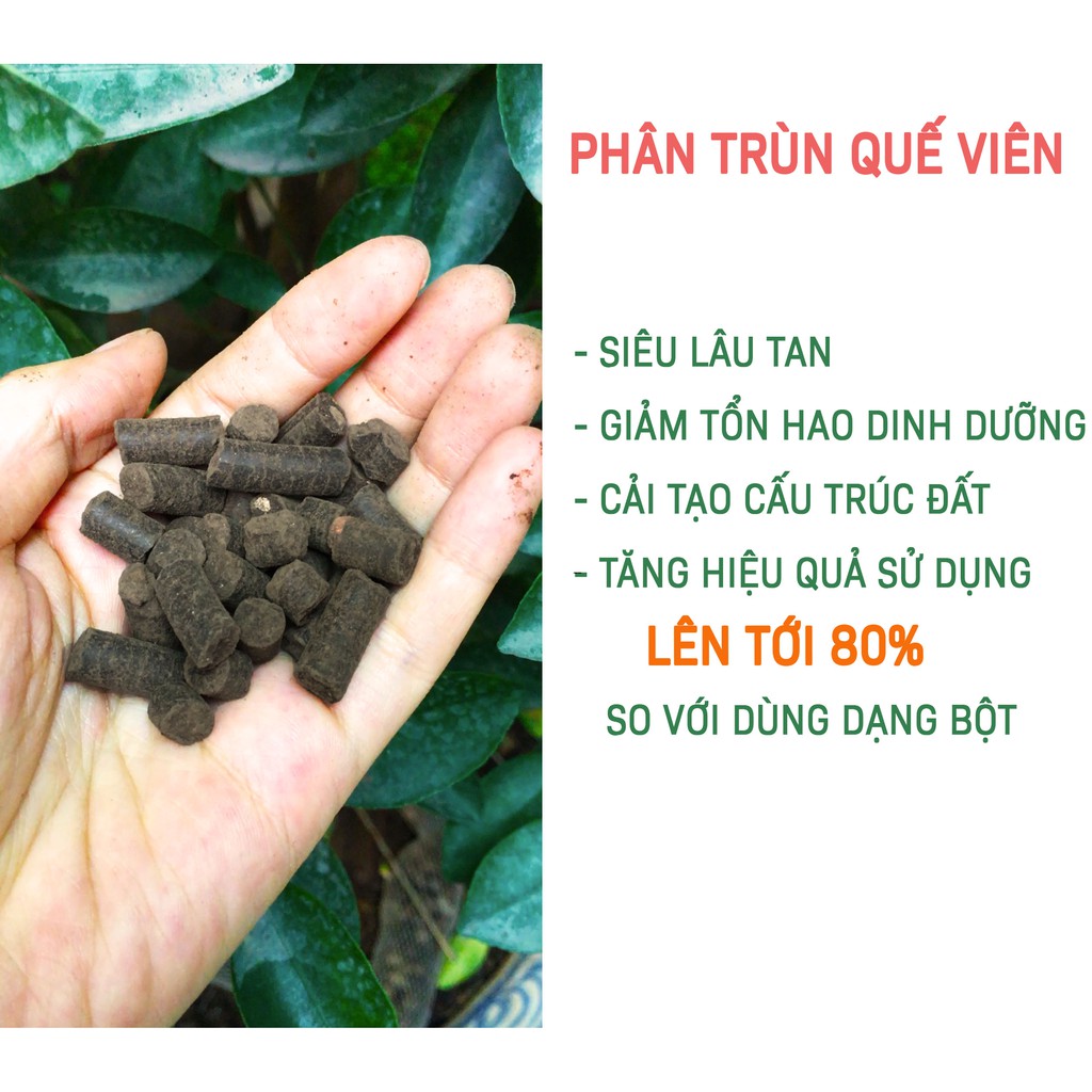 10 kg phân trùn quế dạng viên loại đẹp