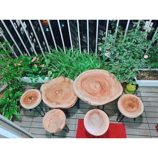 Set bàn gốc cây