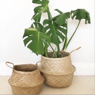 Giỏ Cói, Bị Cói vintage trồng cây, đựng quần áo, vật dụng, decor trang trí