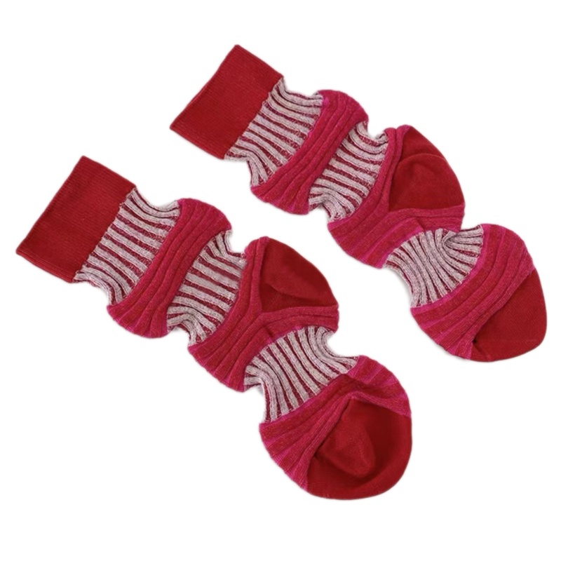 XIXI Vớ Cotton Thoải Mái Thời Trang Cho Nữ