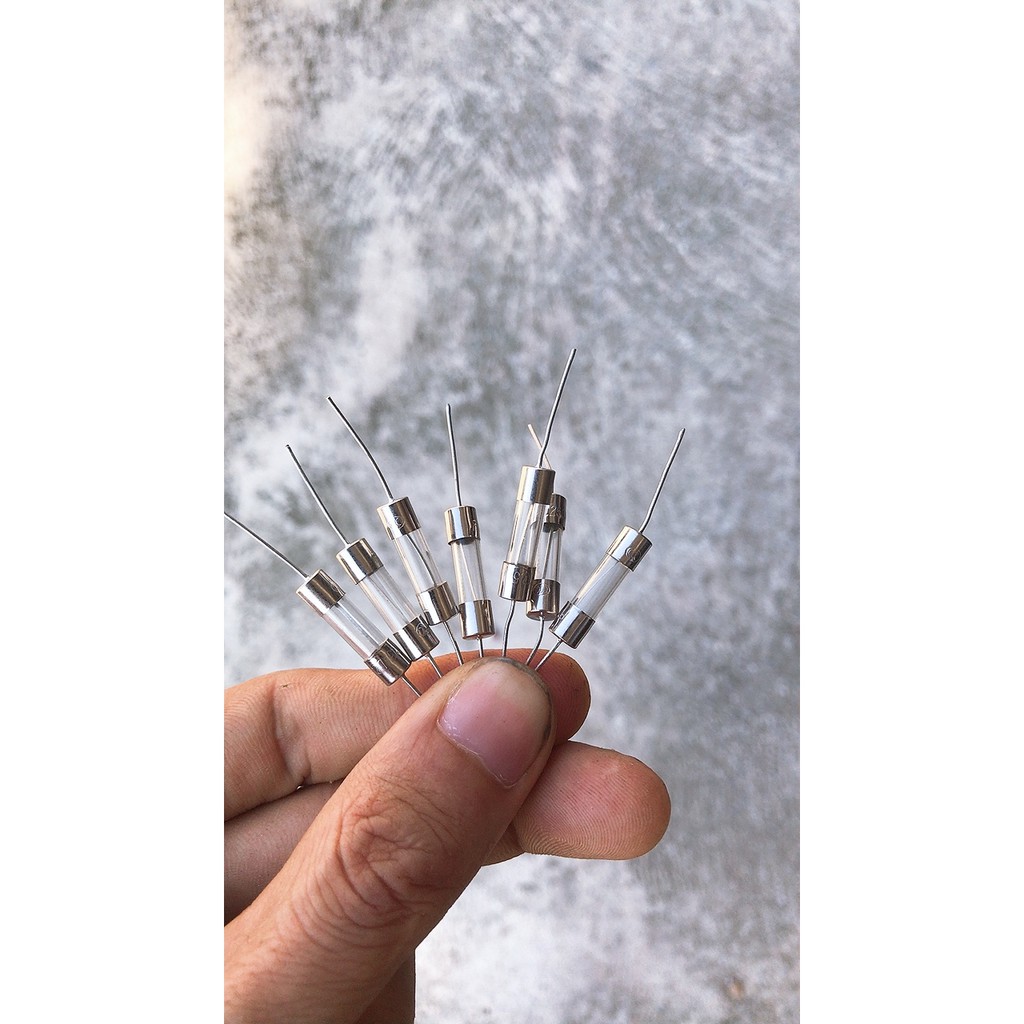 Linh Kiện Bếp Từ Cầu Chì Chân Cắm Thủy Tinh F12.5A 250V 5x20mm Chuyên cho bếp từ