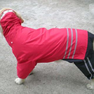 Áo Mưa Cho Thú Cưng Cỡ Lớn