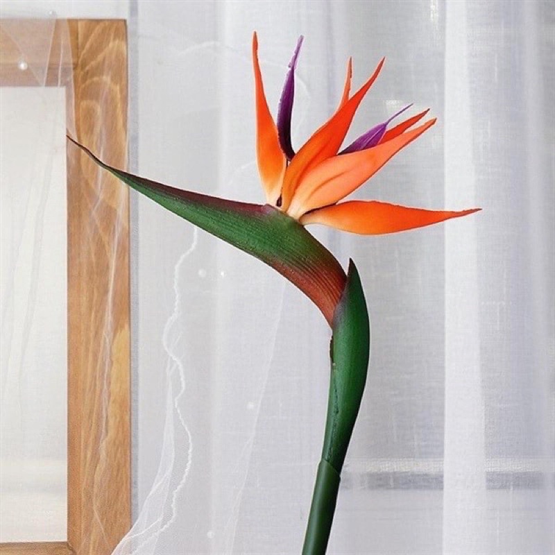 Hoa giả _ Cành Hoa Thien Điểu Cao Su To dài 80 cm decor trang trí cực sang chản