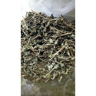1KG Chè cà gai leo