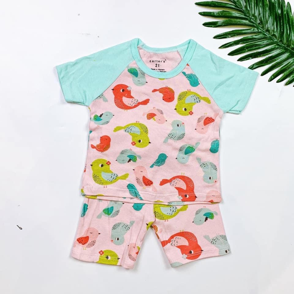 Đồ Bộ Giáp Lăng Thun Cotton Bé Gái Từ 6 Tháng - 4 Tuổi