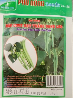 Hạt giống đậu cove leo