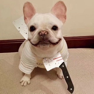 Đồ cosplay trung thu và halloween cho pet
