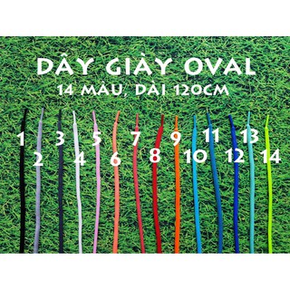 DÂY GIÀY OVAL 14 màu, kèm tùy chọn đầu kim loại LINK 2