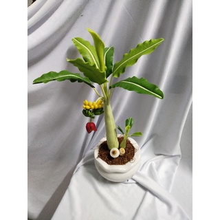 Chậu chuối đất sét cao 40cm