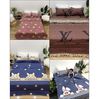 Mền Chần Bông 1m8*2m