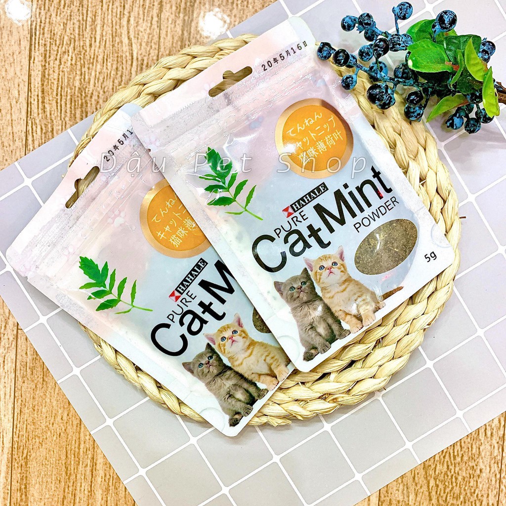 Catnip túi 5g - Cỏ bạc hà cho mèo