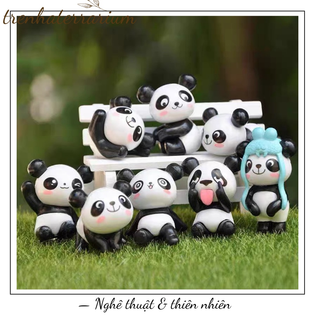 Tiểu cảnh cún con gấu trúc siêu cute trang trí bonsai, terrarium