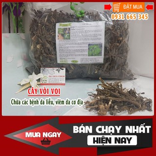Cây Vòi Voi Khô 500g - Dược Liệu Thanh Bình - Hàng Công Ty