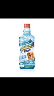 DENTAL FRESH THƠM MIỆNG USA