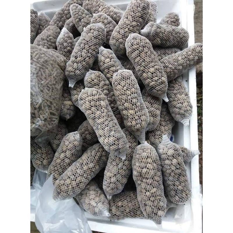 Combo 10 túi, 20 túi phân dê trồng lan đã qua xử lý