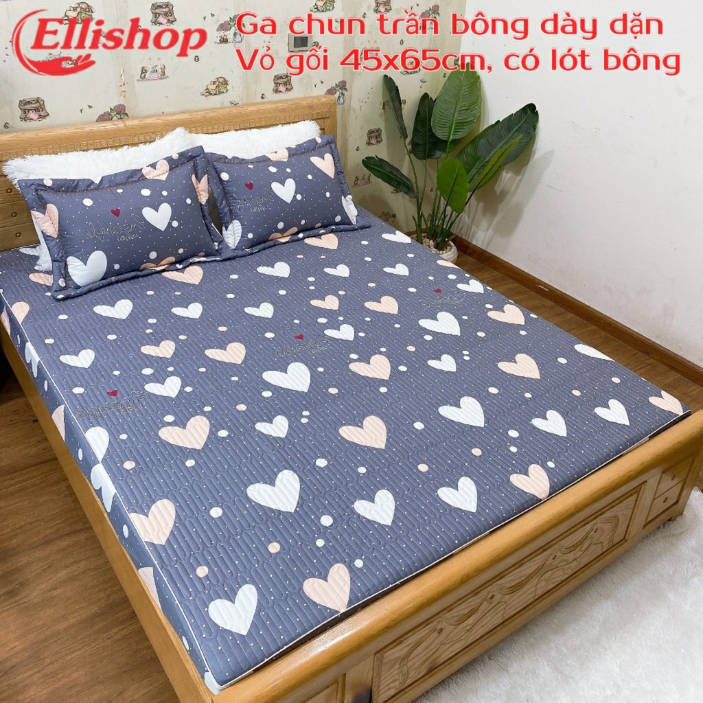 Ga gối cotton 100% loại đẹp, ga chun trần bông, vỏ gối 45x65 cm có lót bông mềm