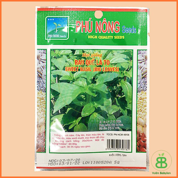 Hạt Giống Rau Húng Quế 5Gr Dễ Trồng, Thơm Ngon