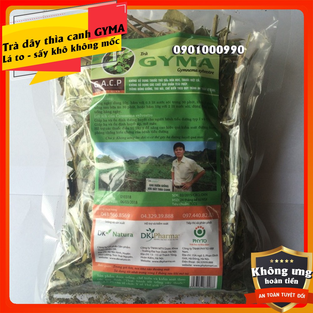 ⚡RẺ VÔ ĐỊCH⚡Trà dây thìa canh GYMA gói 100g - từ lá thìa canh khô - hỗ trợ giảm đường huyết - Trà dây thìa canh lá to