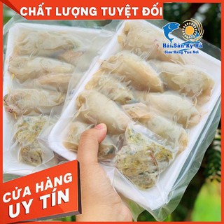 Giá Sỉ 1 Vĩ Mực Ống Nhồi Thịt - Giá Sỉ Rẻ Nhất