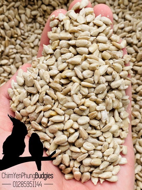1KG | HƯỚNG DƯƠNG NHÂN (đã làm sạch vỏ).