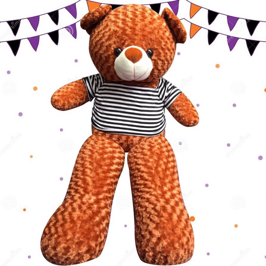 Gấu Bông Teddy 1m8 To, Thú Nhồi Bông Cute Khổng Lồ Giá Siêu Rẻ Chiều Cao Thật