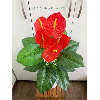Cây giả- Cây môn đỏ 70cm