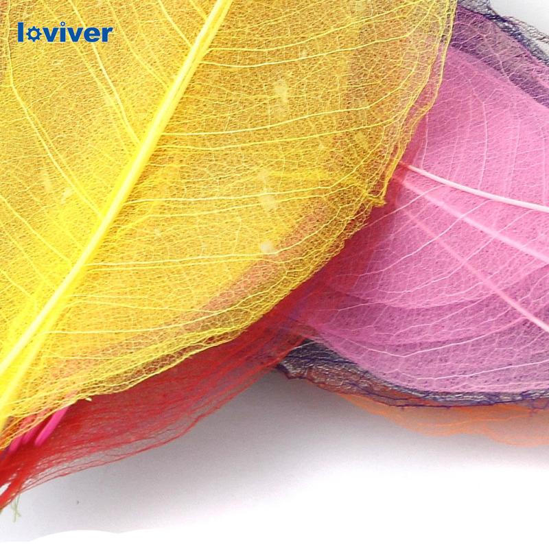 Set 50 Lá Cây Tự Nhiên Nhiều Màu Sắc Dùng Trang Trí Thủ Công DIY