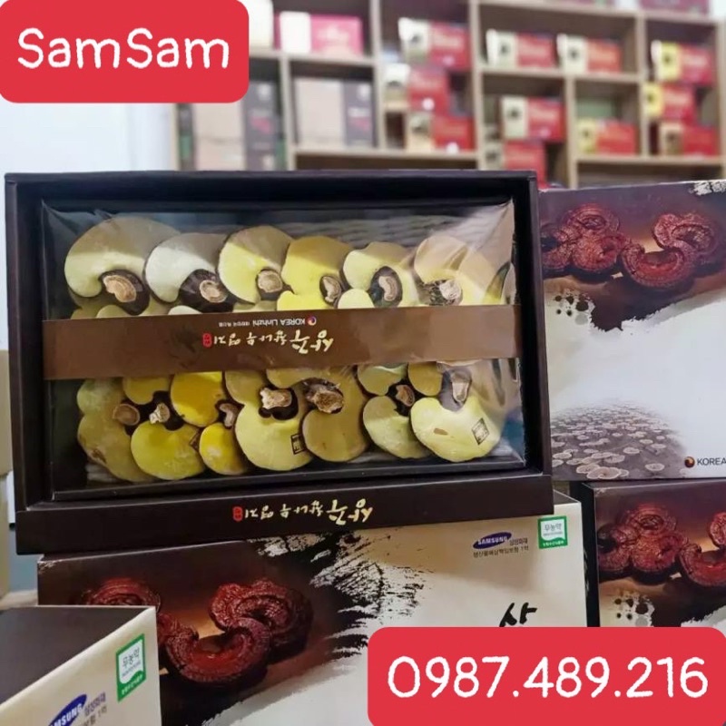 [SỈ TẬN GỐC ] Nấm Linh Chi SANGCHU Hàn Quốc (Hộp 1 kg) Quà siêu sang trọng