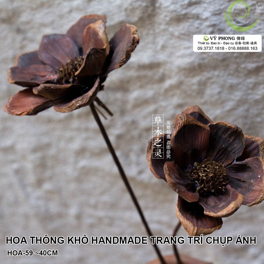 HOA THÔNG KHÔ HANDMADE TRANG TRÍ CHỤP ẢNH THỨC ĂN ĐẠO CỤ CHỤP ẢNH HOA-59