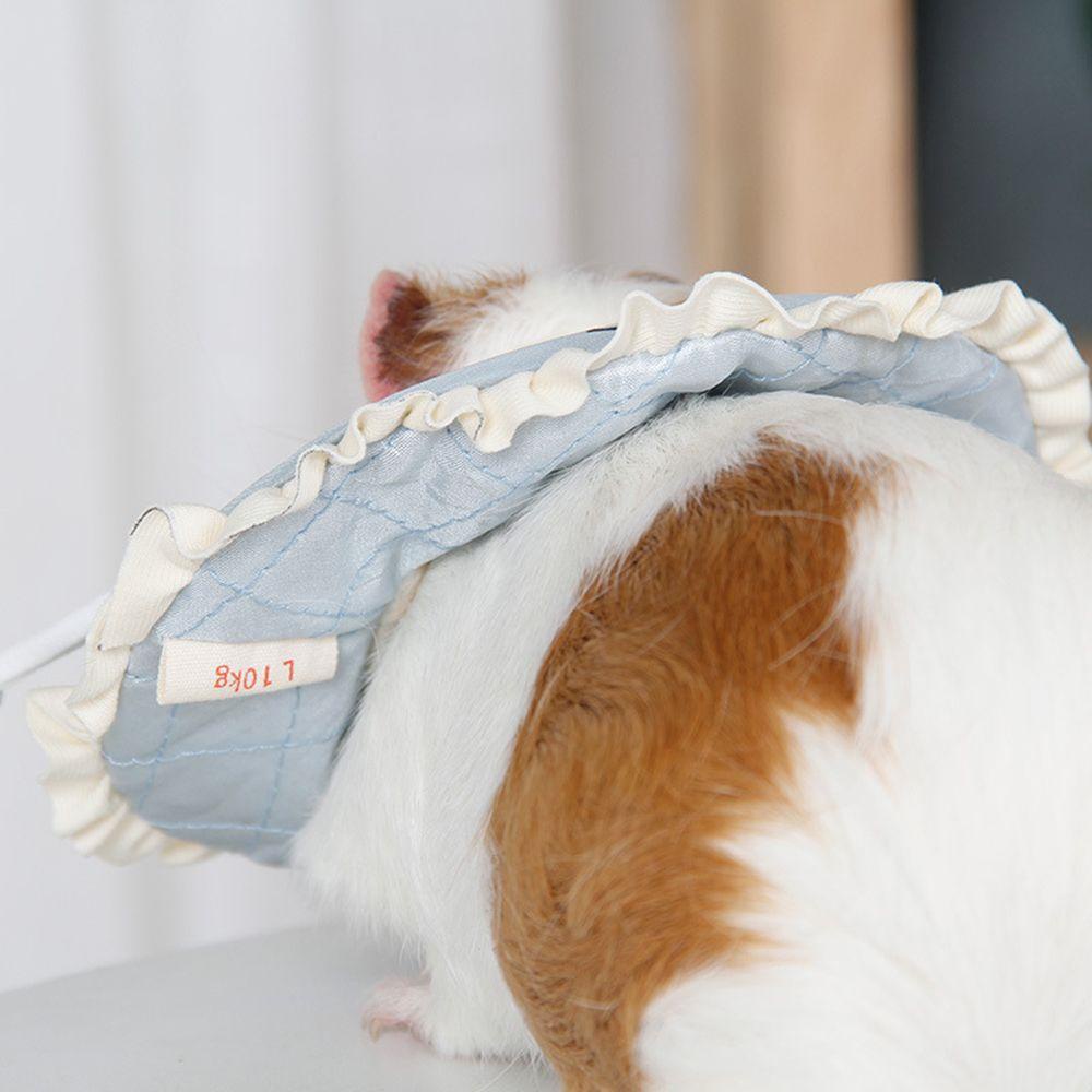 LEISURE Vòng Cổ Hình Nón In Chữ Guinea Dễ Thương Cho Thú Cưng