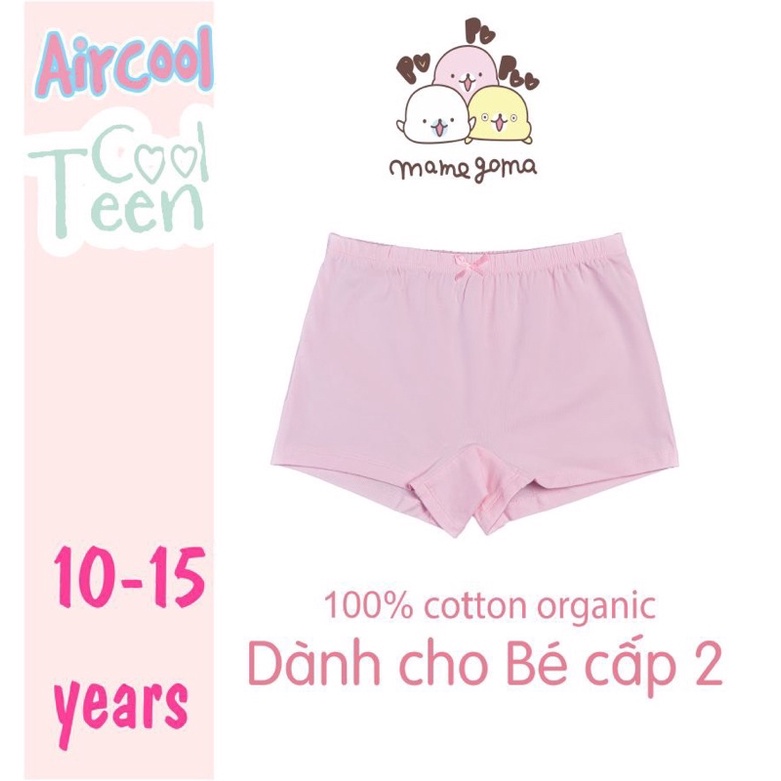 Sét 3 chip đùi bg Air cool dành cho bạn lớn