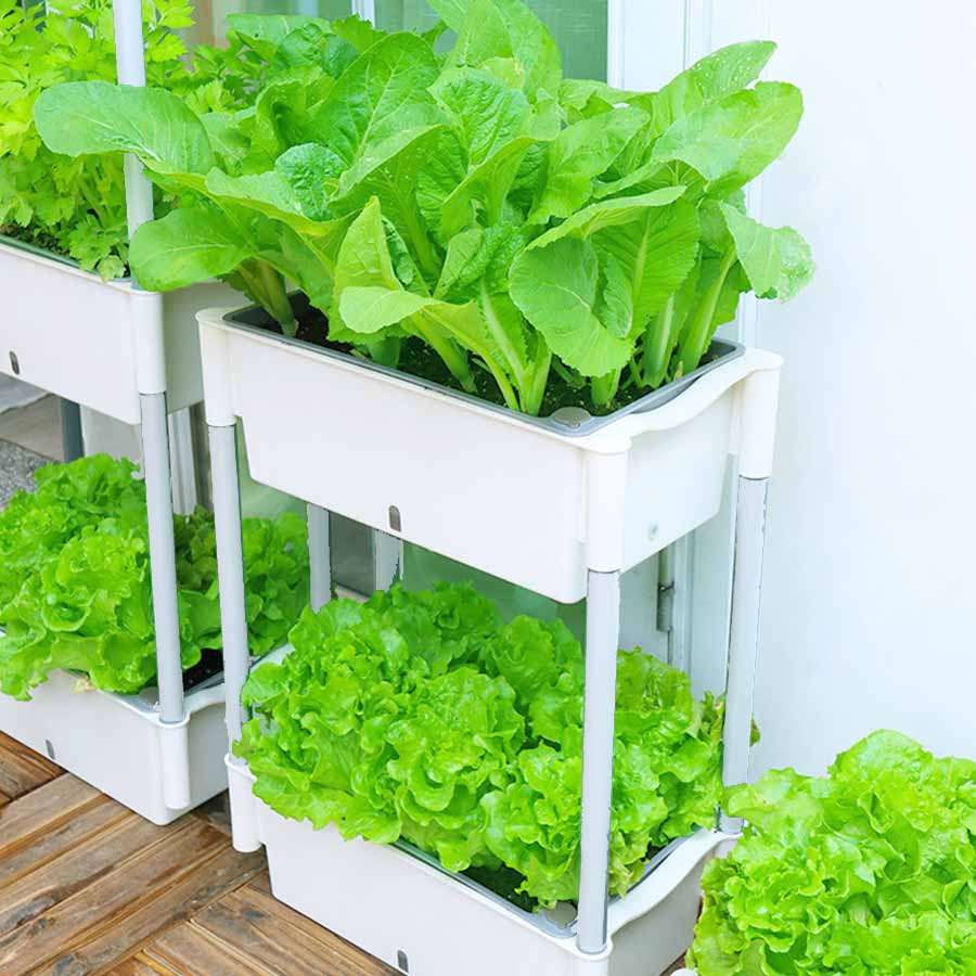 Giá trồng rau tự dưỡng 3 tầng Không cần tưới nước Kệ trồng rau thông minh cho sân thượng ban công