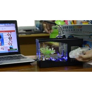 Bể cá Mini để bàn 3 trong 1 kèm đá màu và cây cảnh nhựa